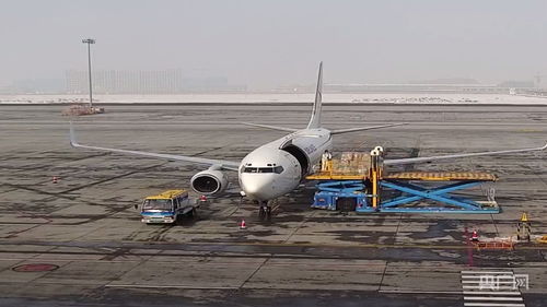 新疆國際貨運(yùn)包機(jī)業(yè)務(wù)全面恢復(fù)，為國際物流注入新動能